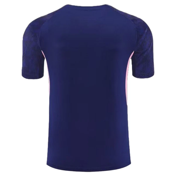 Camisolas de Treino Feyenoord Homem 2025-26 Azul