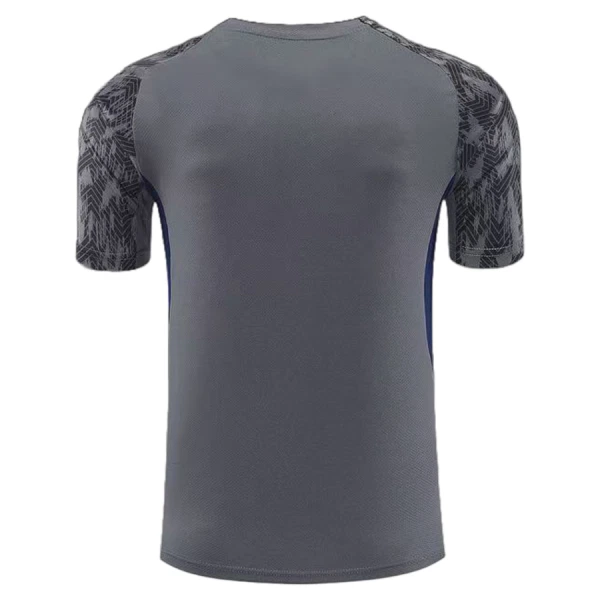 Camisolas de Treino Feyenoord Homem 2025-26 Cinza
