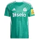 Camisola Newcastle United Homem Equipamento 2ª 2025-26 Camisola Newcastle United Homem Equipamento 2ª 2025-26