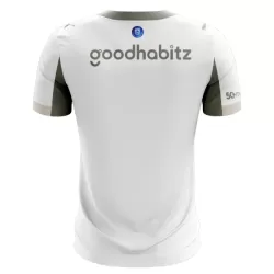 Camisola PSV Eindhoven Criança Equipamento 3ª 2025-26