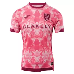 Camisola Norwich City Homem Equipamento 3ª 2025-26 Camisola Norwich City Homem Equipamento 3ª 2025-26