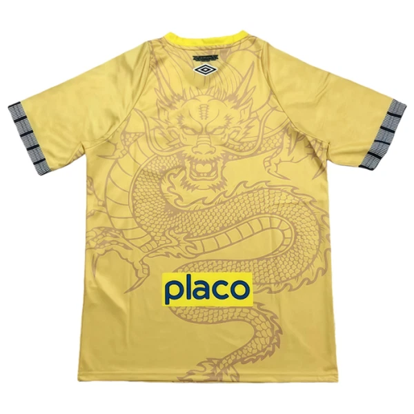 Camisola Santos FC Dragon Homem 2025-26 Amarela