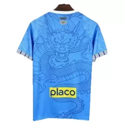 Camisola Santos FC Dragon Homem 2025-26 Azul