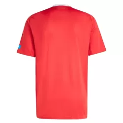 Camisola FC Nurnberg Homem Equipamento 3ª 2025-26