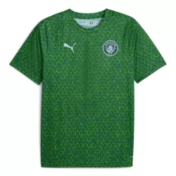 Camisola Manchester City Pre-Match Homem 2025-26 Verde Camisola Manchester City Pre-Match Homem 2025-26 Verde