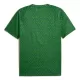 Camisola Manchester City Pre-Match Homem 2025-26 Verde