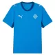 Camisola Islândia Homem Equipamento 1ª Mundial 2026