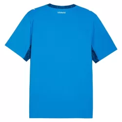 Camisola Islândia Homem Equipamento 1ª Mundial 2026