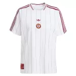 Camisola Aston Villa Terrace Icons Homem 2025-26