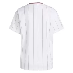 Camisola Aston Villa Terrace Icons Homem 2025-26