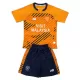 Camisola Cardiff City Criança Equipamento 3ª 2025-26