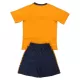 Camisola Cardiff City Criança Equipamento 3ª 2025-26