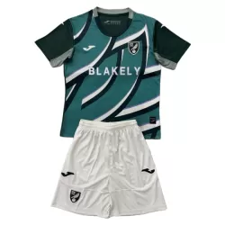 Camisola Norwich City Criança Equipamento 2ª 2025-26