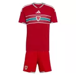 Camisola País de Gales Criança Equipamento 1ª Mundial 2026