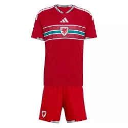 Camisola País de Gales Criança Equipamento 1ª Mundial 2026