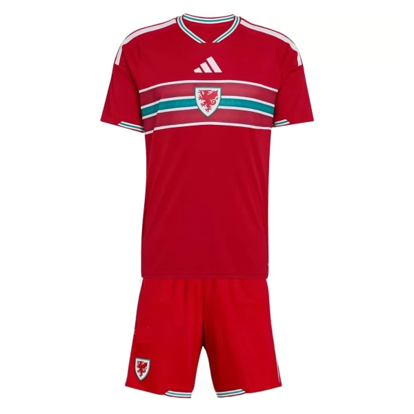 Camisola País de Gales Criança Equipamento 1ª Mundial 2026 Camisola País de Gales Criança Equipamento 1ª Mundial 2026
