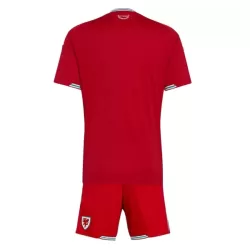 Camisola País de Gales Criança Equipamento 1ª Mundial 2026