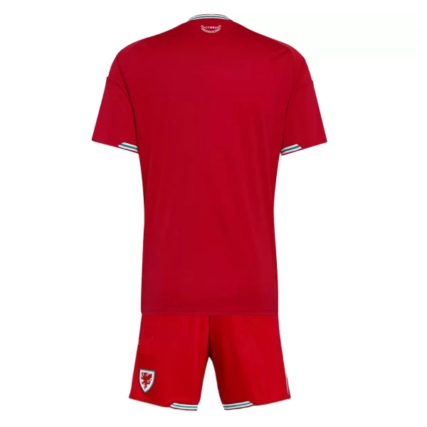 Camisola País de Gales Criança Equipamento 1ª Mundial 2026