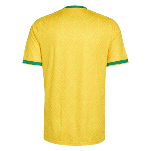 Camisola África do Sul Homem Equipamento 1ª Mundial 2026