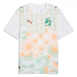 Camisola Costa do Marfim Homem Equipamento 2ª Mundial 2026