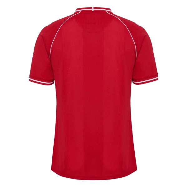 Camisola Dinamarca Homem Equipamento 1ª Mundial 2026