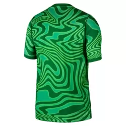 Camisola Guarda-Redes Brasil Homem Equipamento 1ª Mundial 2026 Verde