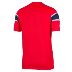 Camisola Noruega Criança Equipamento 1ª Mundial 2026