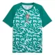 Camisola Portugal Pre-Match Homem Mundial 2026 Verde