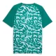 Camisola Portugal Pre-Match Homem Mundial 2026 Verde