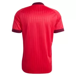 Camisola Olympique Lyonnais Criança Equipamento 2ª 2026-27