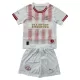 Camisola PSV Eindhoven Criança Equipamento 4ª 2025-26 - Especial Camisola PSV Eindhoven Criança Equipamento 4ª 2025-26 - Especial