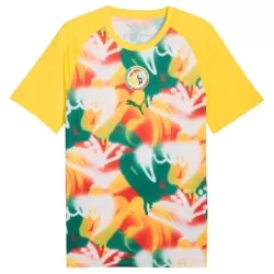 Camisola Senegal Pre-Match Homem Mundial 2026