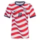 Camisola EUA Pulisic 10 Homem Equipamento 1ª Mundial 2026