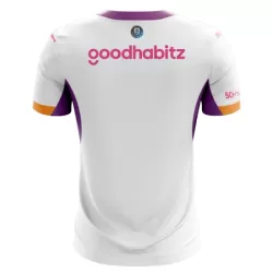 Camisola PSV Eindhoven Homem Equipamento 2ª 2026-27