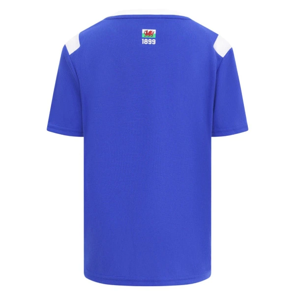 Camisola Cardiff City Homem Equipamento 1ª 2026-27