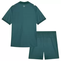 Camisola Fluminense FC Criança Equipamento 3ª 2026-27