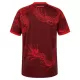 Camisola Internacional Homem Equipamento 3ª 2026-27