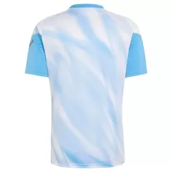 Camisola Argentina Farewell Pre-Match Aniversário Homem 2026-27