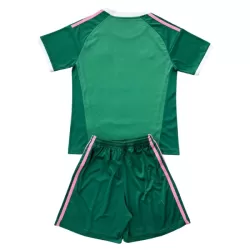 Camisola Guarda-Redes Ajax Amsterdam Criança 2026-27 Verde