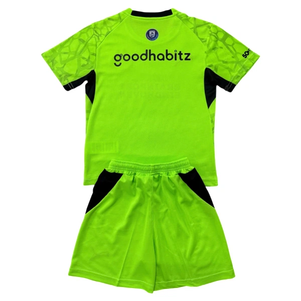 Camisola Guarda-Redes PSV Eindhoven Criança 2026-27 Verde